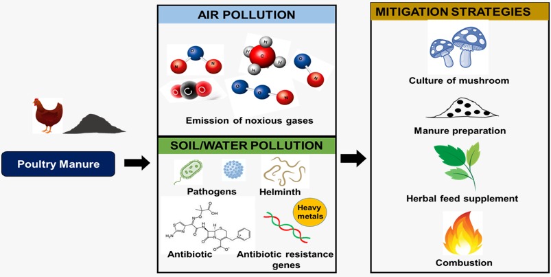 management of poultry manure to lessen its environmental impact (Mukherjee and Haldar, 2022) | Agrivet